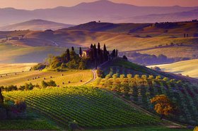 Tuscan Wine region