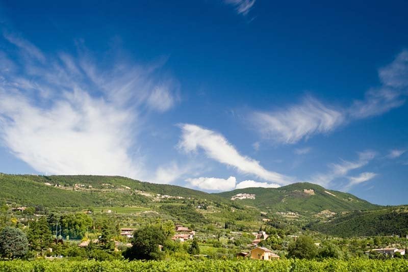 Valpolicella Classico wine Region