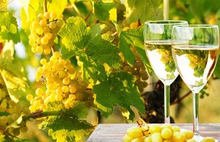 Vermentino: Wine Regions, Taste, 8 Best Bottles To Buy (2021)