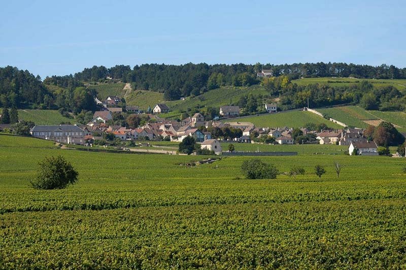 Volnay