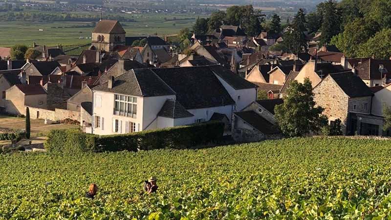 Volnay