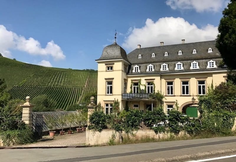 The Egon Muller estate is situated in the green valleys of the Mosel-Saar-Ruwer wine region, between Wiltingen and Kanzem in Germany. 