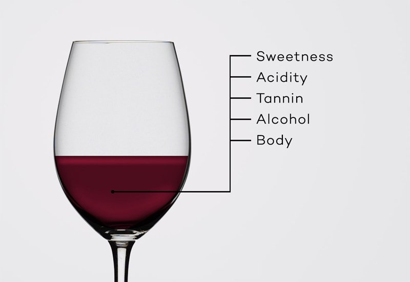 Wine-Connoisseur-6.jpg