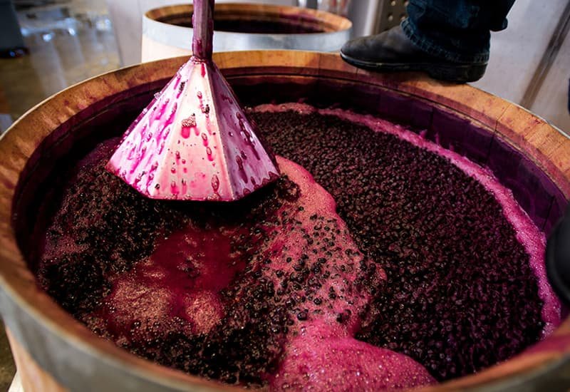 Winemaking-Techniques-At-Dominus-Winery.jpg