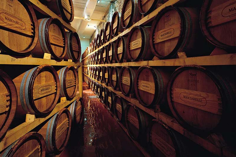 Abruzzo Wine Barrels