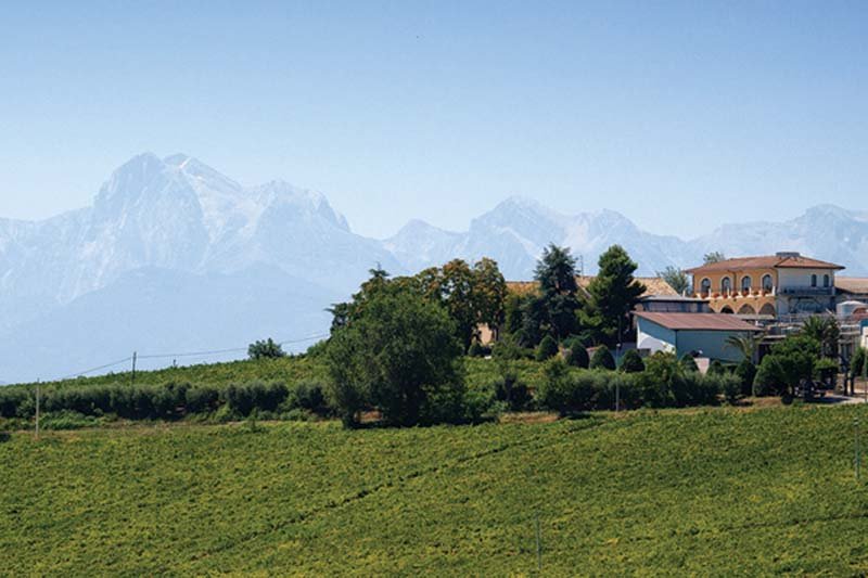 Trebbiano d&#x27;Abruzzo