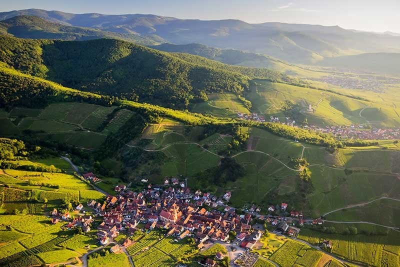 Alsace wine region