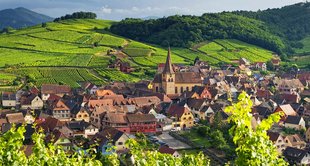 Alsace Wine region