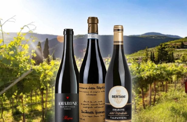 ワイン Amarone della Valpolicella 2017 amarone-della-valpolicella-