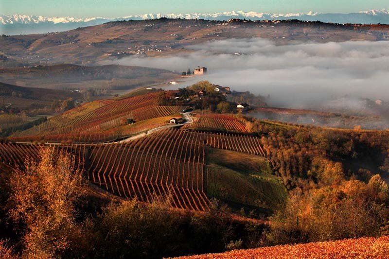 Barolo Wine Region 