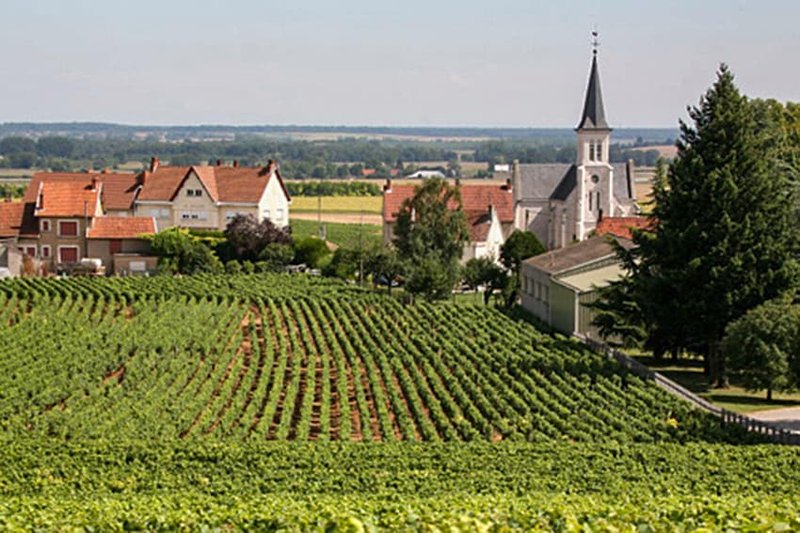 best-burgundy-vintages-8.jpg