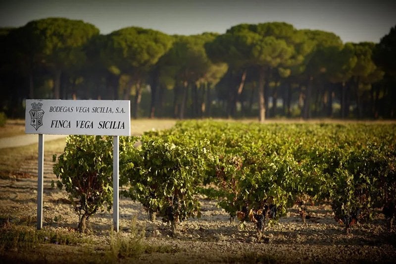 best-wine-brands-vega-sicilia.jpg