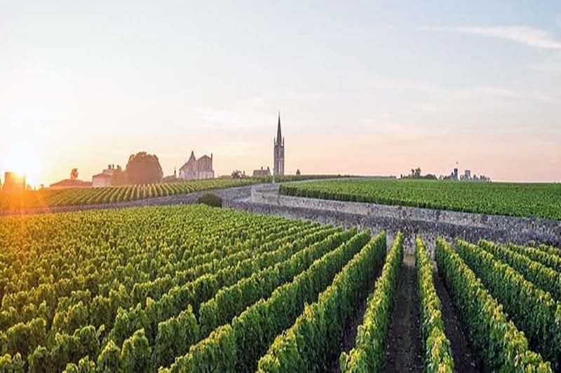 Bordeaux En Primeur 2021