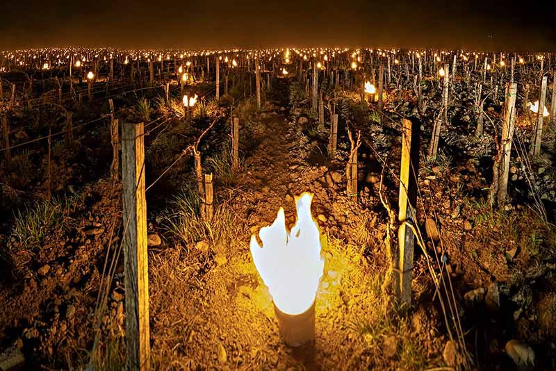 Bordeaux Wine region