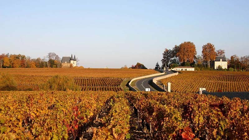 Bordeaux Wine Region Medoc