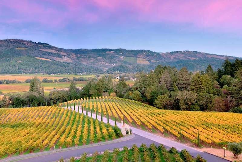 Napa Valley wine region