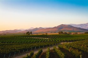 California Wine Region