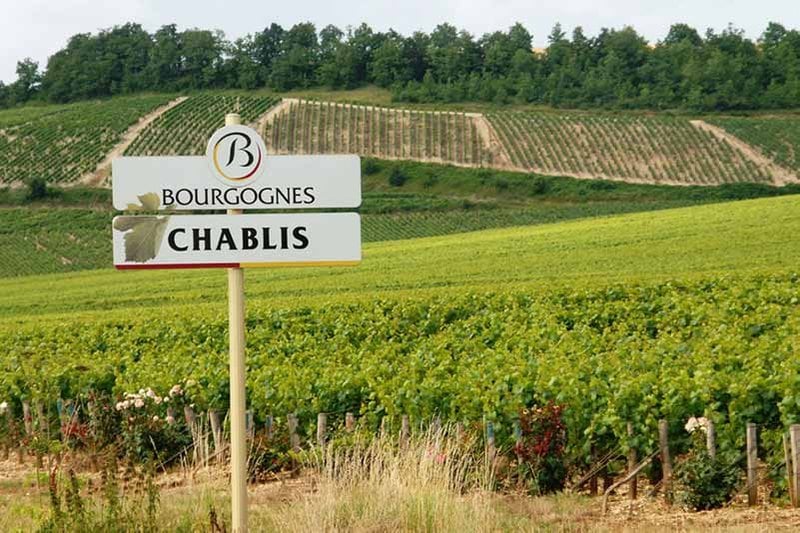 Chablis region of Burgundy