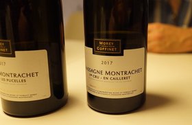 chassagne-montrachet-2017.jpg