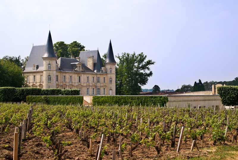 The vineyards at Chateau Pichon Longueville estate.