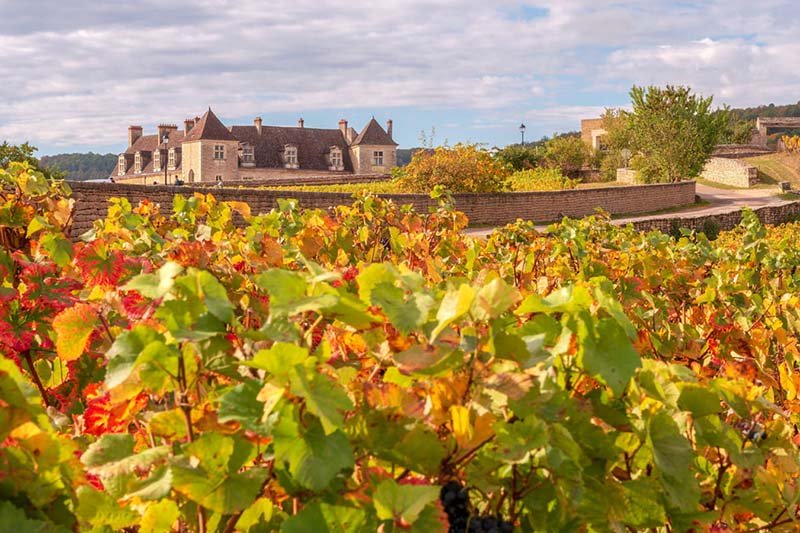 Clos de Vougeot Grand Cru 