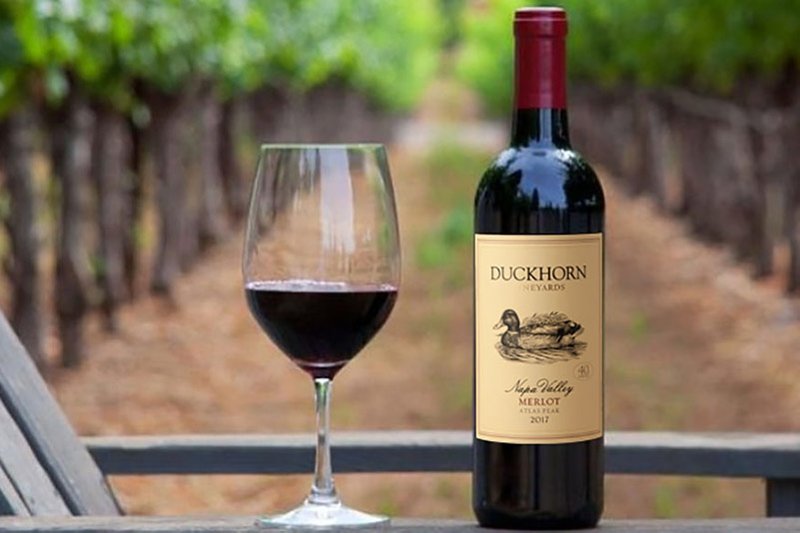 Enjoy a glass of Duckhorn wine in the vineyards.