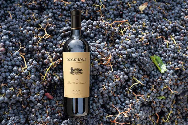 Duckhorn wine with harvested Merlot grapes.