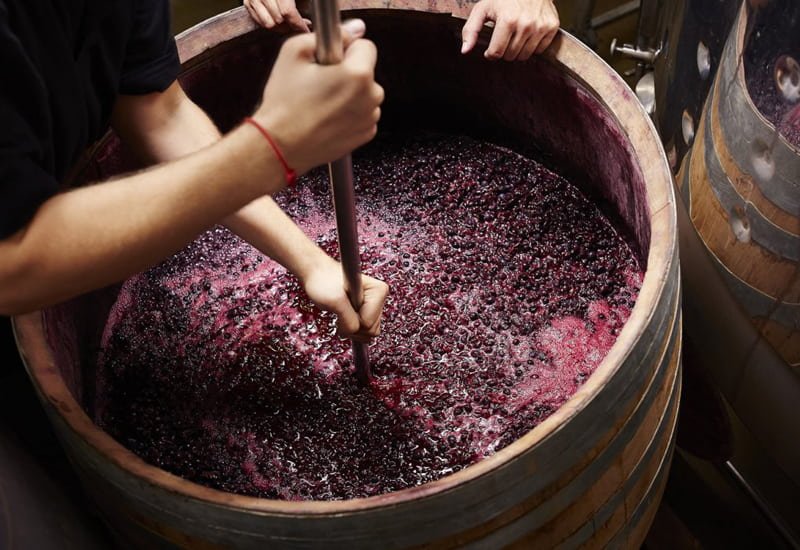 Fermentation is the process of using natural (or cultured) yeast to convert grape juice to wine. 