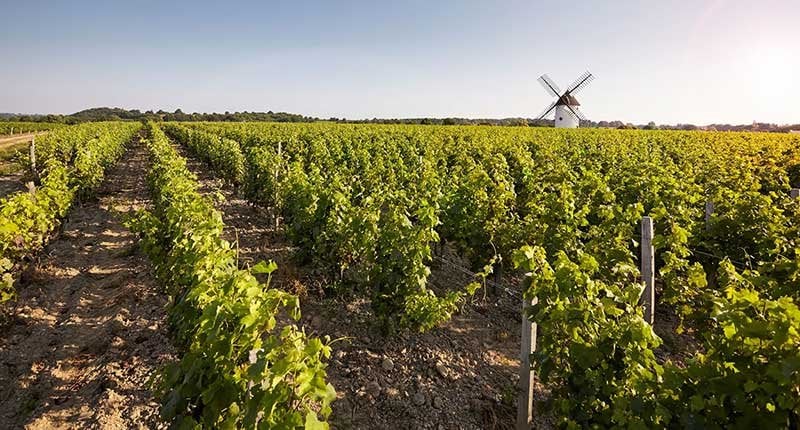 Loire Valley wine region