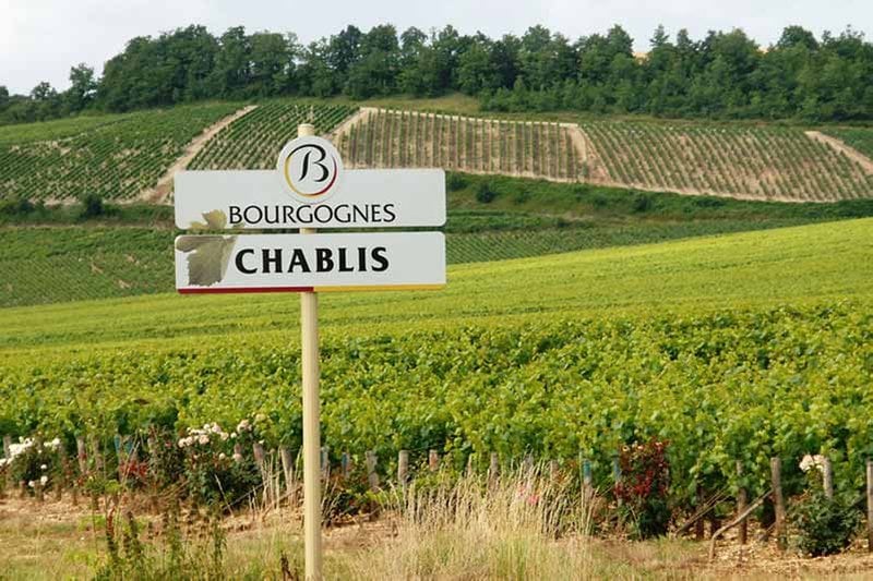 Chablis wine region