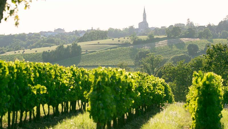 Graves wine region