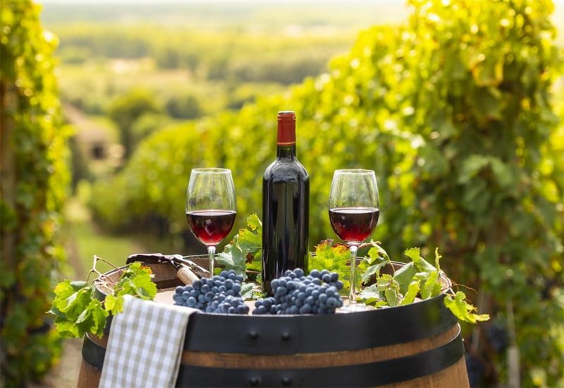investing-in-french-wine-2.jpg
