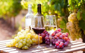 Italian Wine Grapes