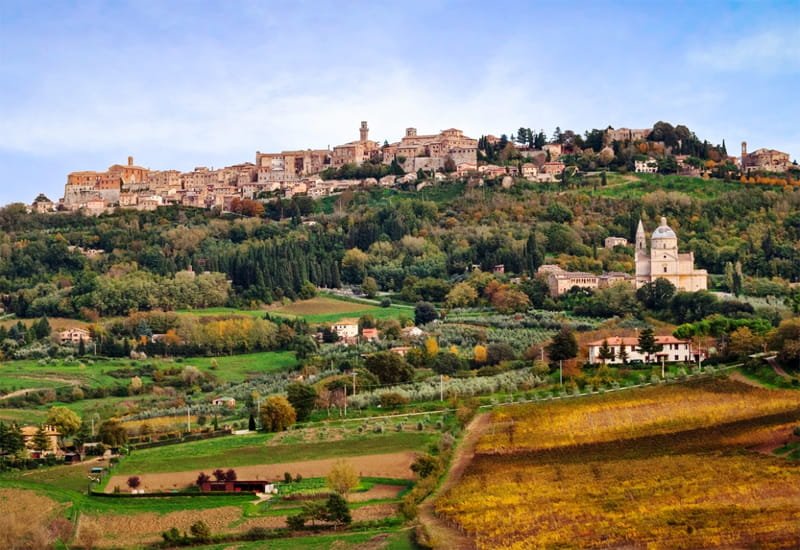 montepulciano-winery-1.jpg