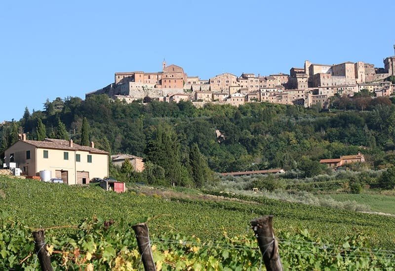 montepulciano-winery-montemercurio-winery.jpg