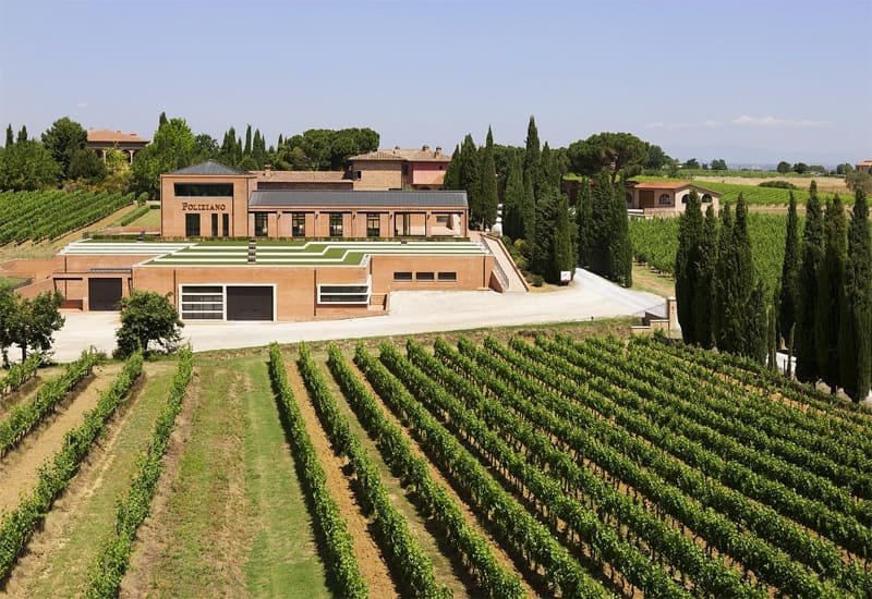 montepulciano-winery-poliziano-winery.jpg