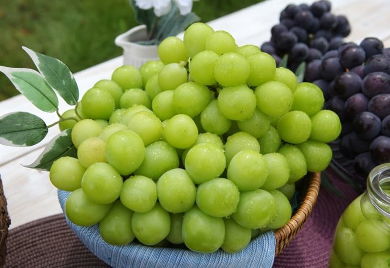 muscat-grape.jpg