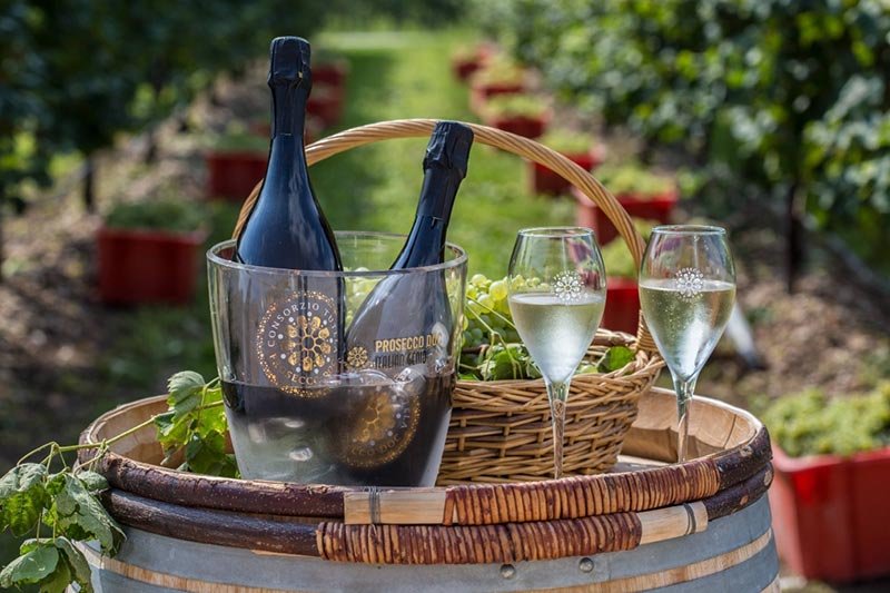 Sparkling Prosecco wine being enjoyed in vineyard