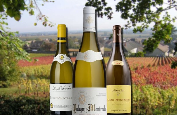 10 Best Puligny Montrachet 2018 Wines For Your Collection