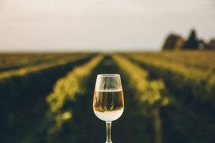 Sancerre White Wine