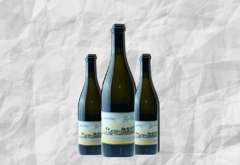 sauvignon-blanc-wine-2015-louis-benjamin-didier-dagueneau-pouilly-fume-asteroide-loire-france.jpg