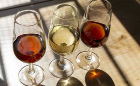 Three different styles of Sherry wine.