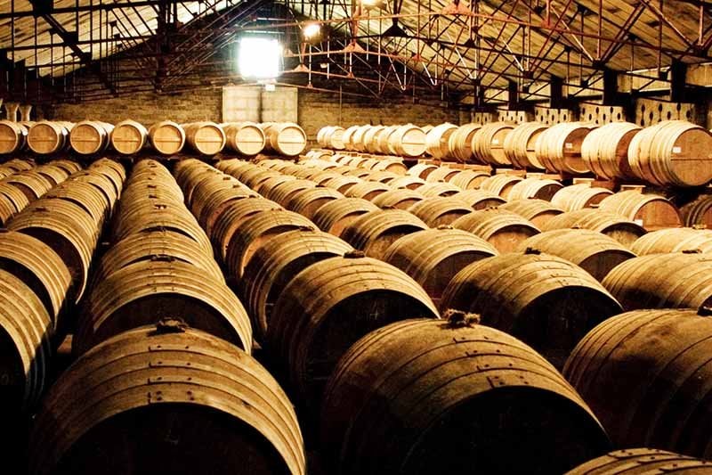 Investing in Whiskey Casks