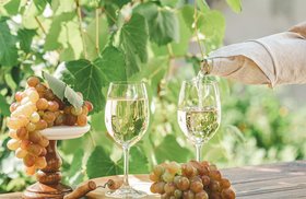 white-wine-grapes.jpg
